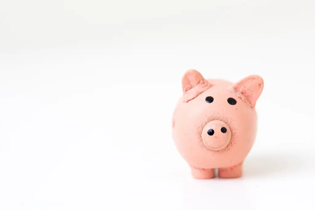 Cute piggy bank to inspire you to practice financial management