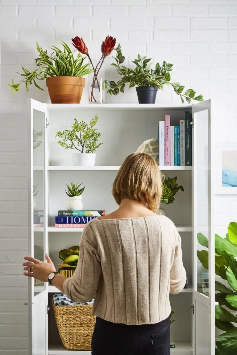 Jardinería para novatos: plantas de bajo mantenimiento