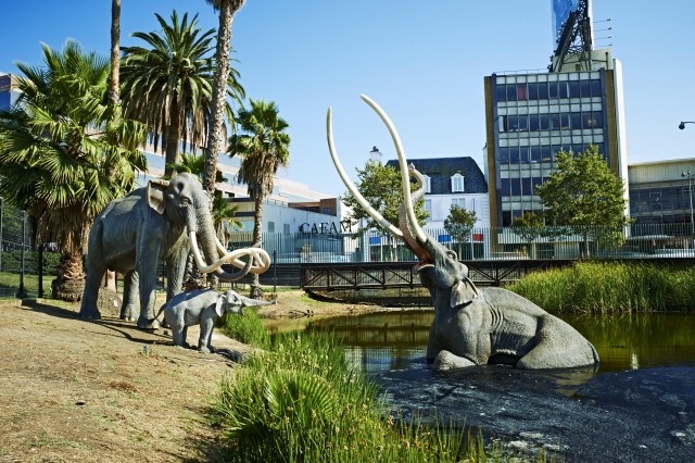 La Brea Tar Pits and Museum