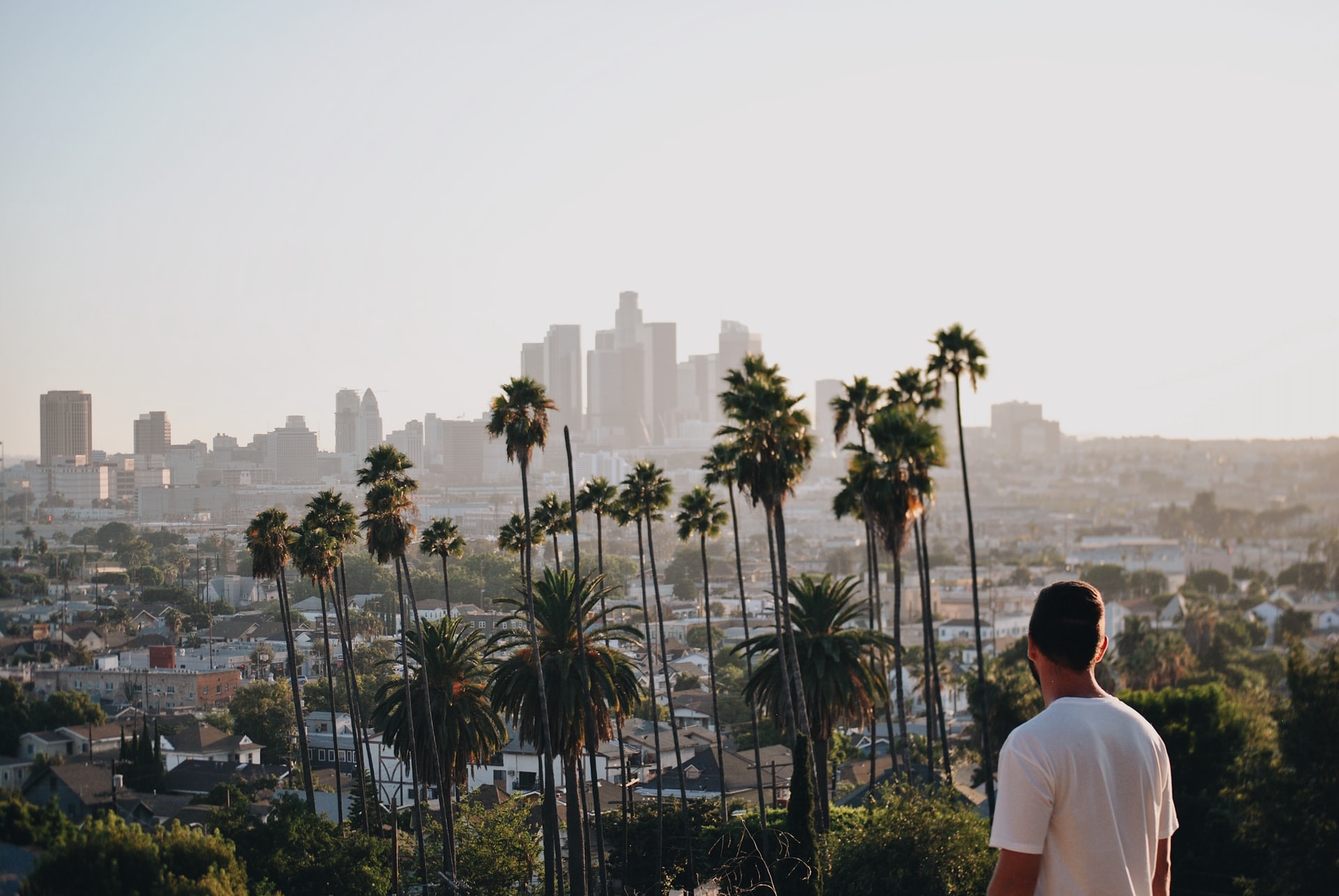 Co-living In Los Angeles: Where Should You Look?