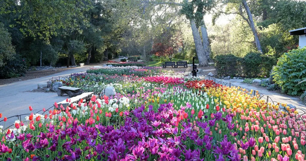 descanso-gardens